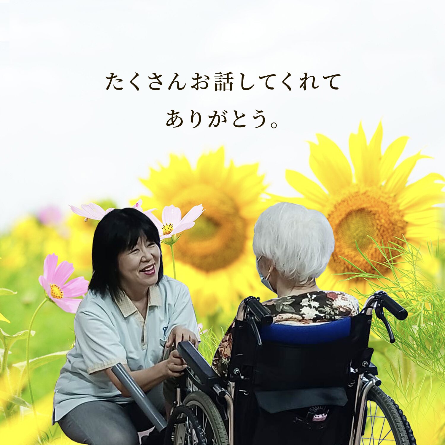 ケアプロ ケアプロ