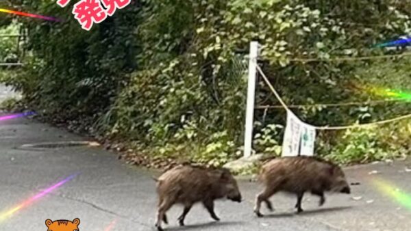 ⭐️湯河原営業所⭐️