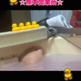 ☆熊本営業所☆