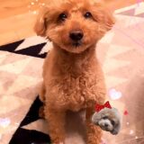 ☆ケアプロ21いずみ☆