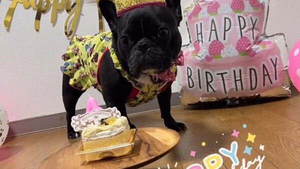 ☆お誕生日☆