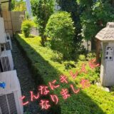 ☆ケアプロ21はだの☆