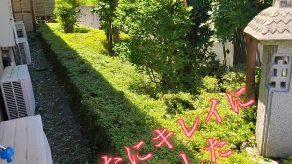 ☆ケアプロ21はだの☆