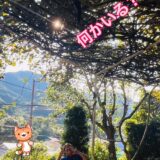 ☆湯河原営業所☆