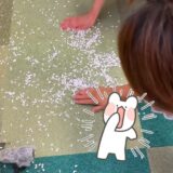 ☆平塚営業所☆