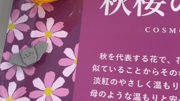 ☆10月入浴剤☆