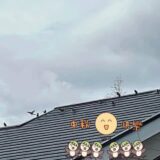 ☆平塚営業所☆