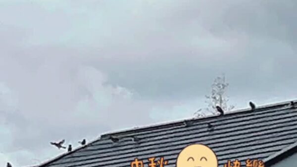 ☆平塚営業所☆