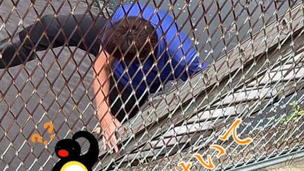 ☆平塚営業所☆