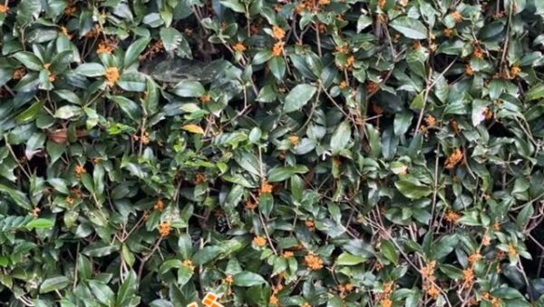 ☆平塚営業所☆