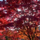 ☆足柄営業所☆