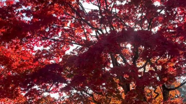 ☆足柄営業所☆