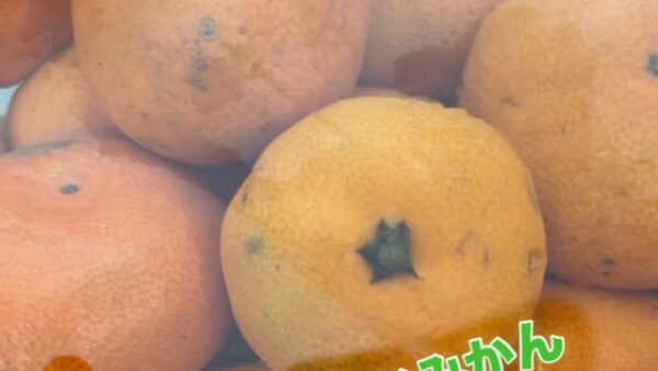 ☆平塚営業所☆