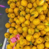 ☆平塚営業所☆