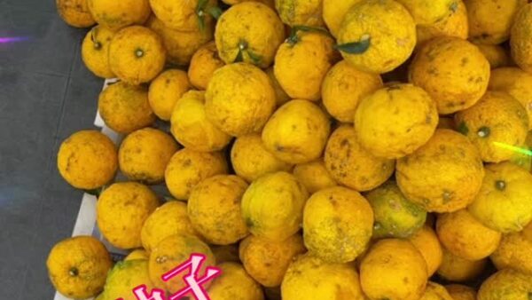 ☆平塚営業所☆