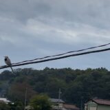 ☆平塚営業所☆