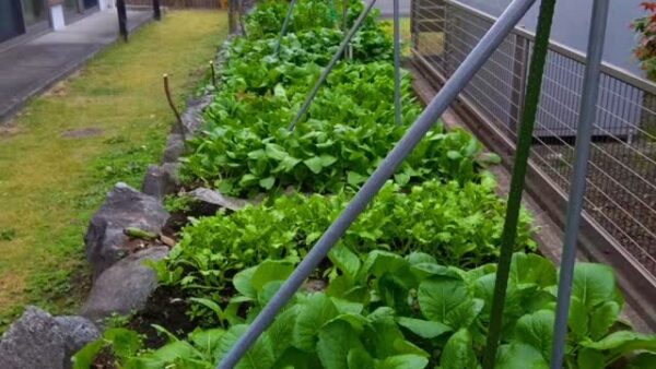 ☆八代営業所☆