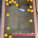 ☆ケアプロ21はだの☆