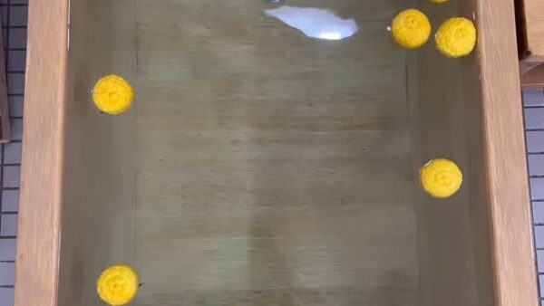 ☆ケアプロ21はだの☆