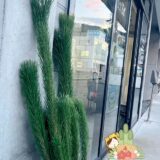 ☆湯河原営業所☆