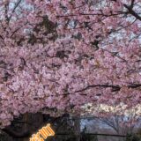 ☆平塚営業所☆