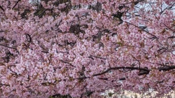 ☆平塚営業所☆