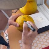 ☆ケアプロ21いずみ☆