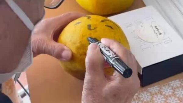 ☆ケアプロ21いずみ☆