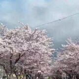 ☆ケアプロ21はだの☆