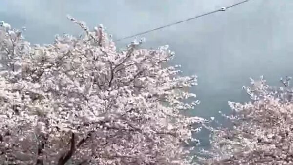 ☆ケアプロ21はだの☆