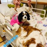 ☆湯河原営業所☆