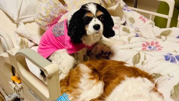 ☆湯河原営業所☆