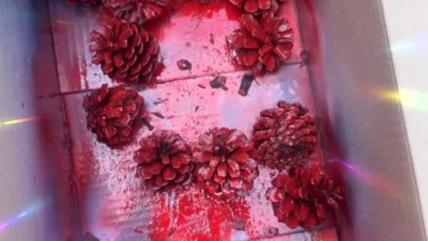 ☆足柄営業所スタッフ☆