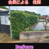 ☆平塚営業所☆