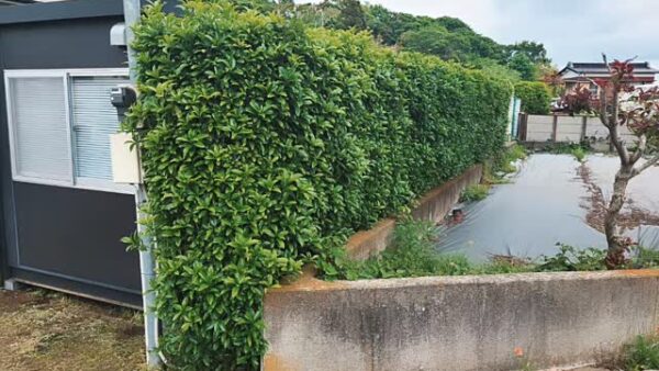 ☆平塚営業所☆