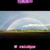 ☆八代営業所☆