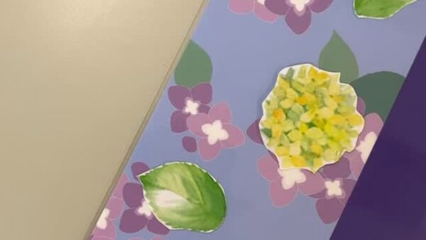 ☆6月入浴剤☆