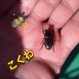 ☆平塚営業所☆