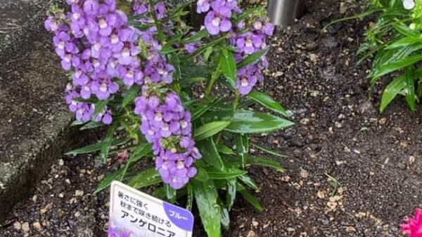 暑くなってきましたね😅
