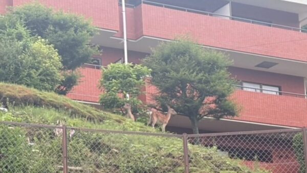 ☆湯河原営業所☆