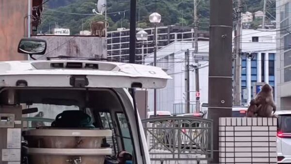 ☆湯河原営業所☆